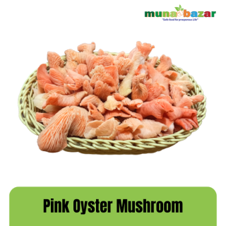 Pinky Oyster Mushroom